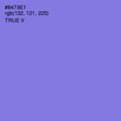 #8479E1 - True V Color Image